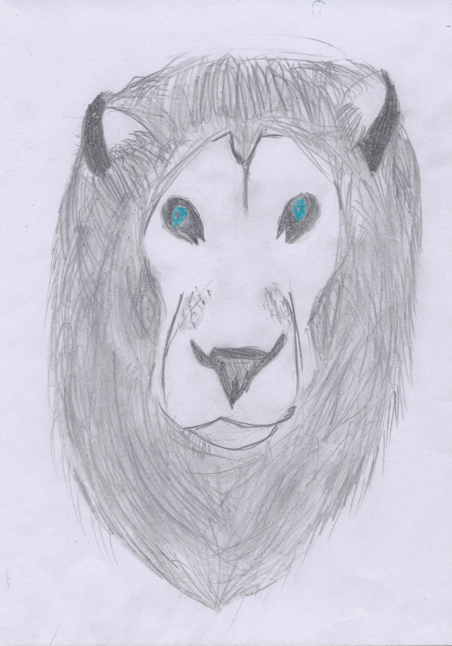 'A Brave Lion' by Ruth (9) from Dublin