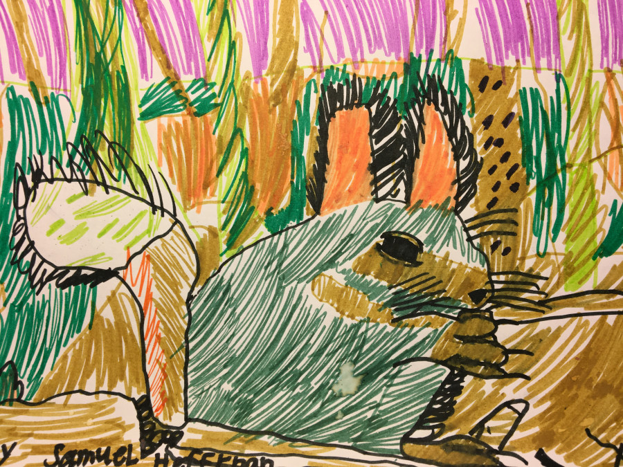 'The Wild Life' by Samuel (7) from Cork