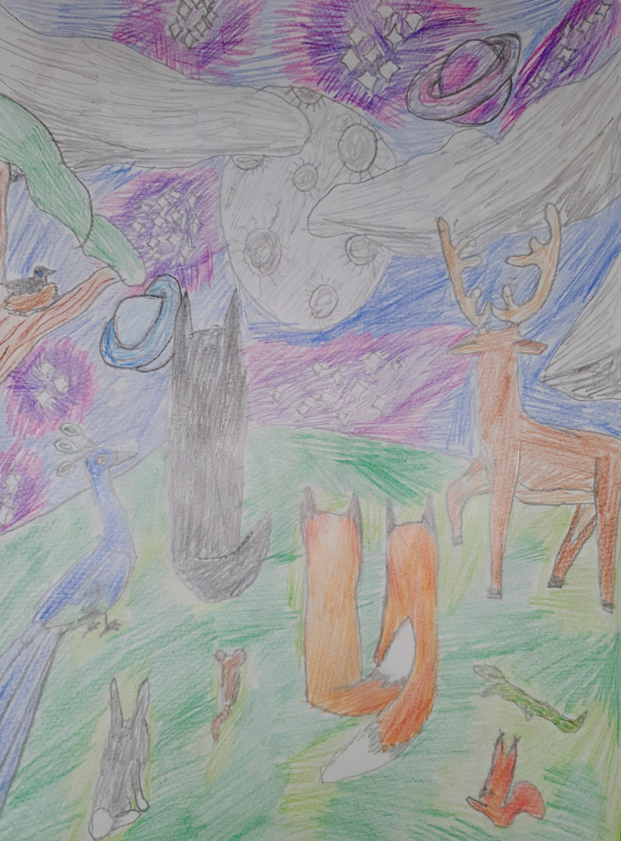 'Star Gazing' by Saoirse (12) from Offaly