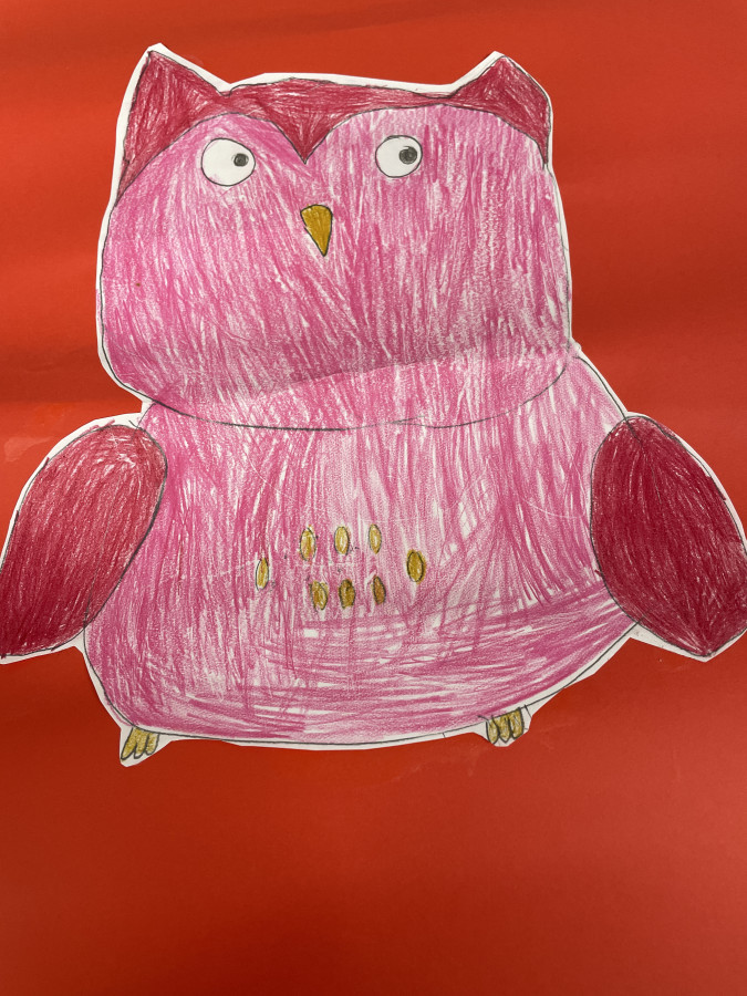 'Owl' by Saoirse (7) from Offaly