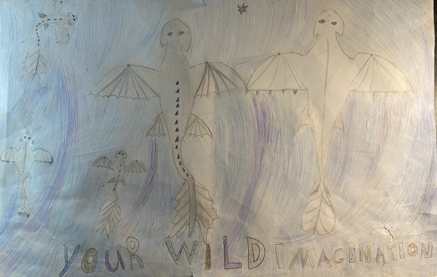 'Your wild imagination' by Sara (10) from Donegal