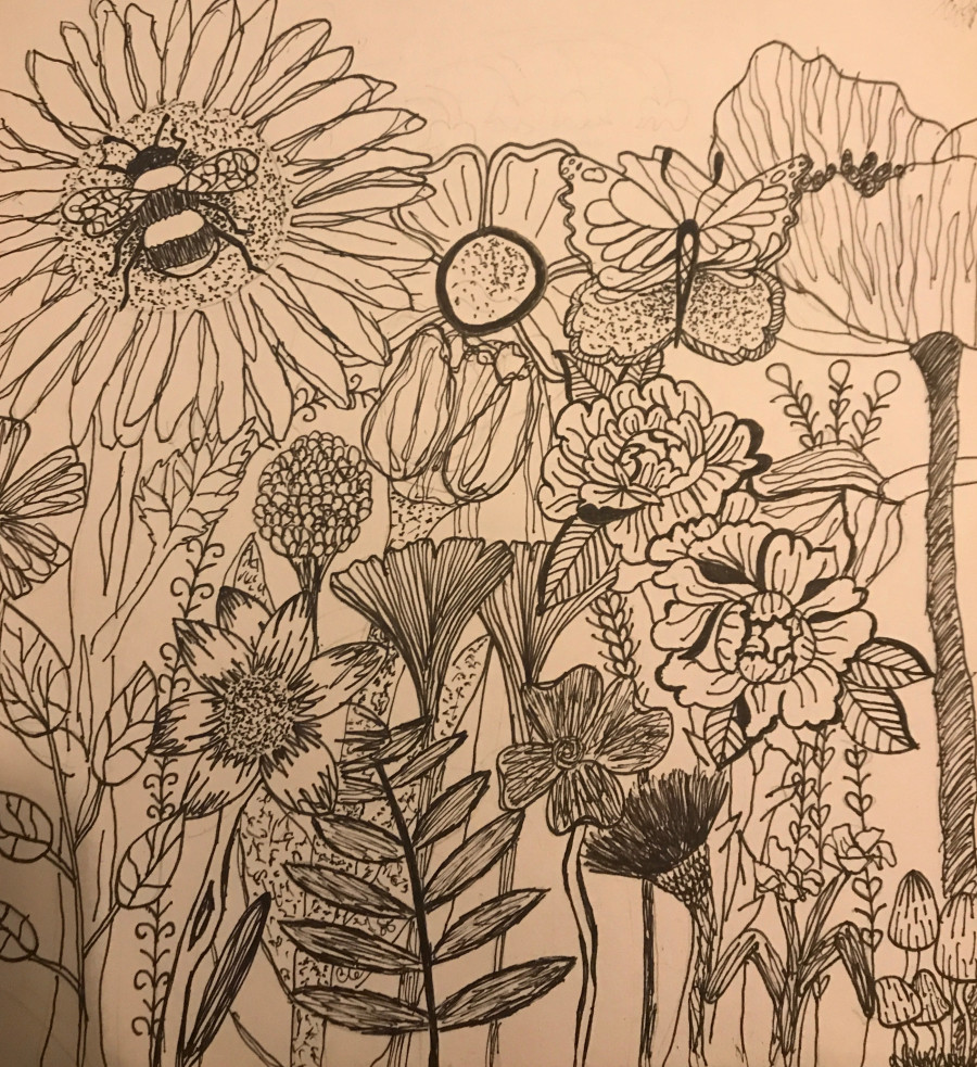 'Wildflowers' by Sarah (15) from Galway