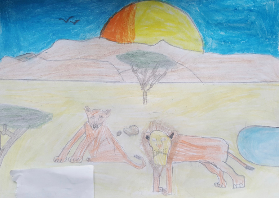 'Life in Africa' by Sean (11) from Galway