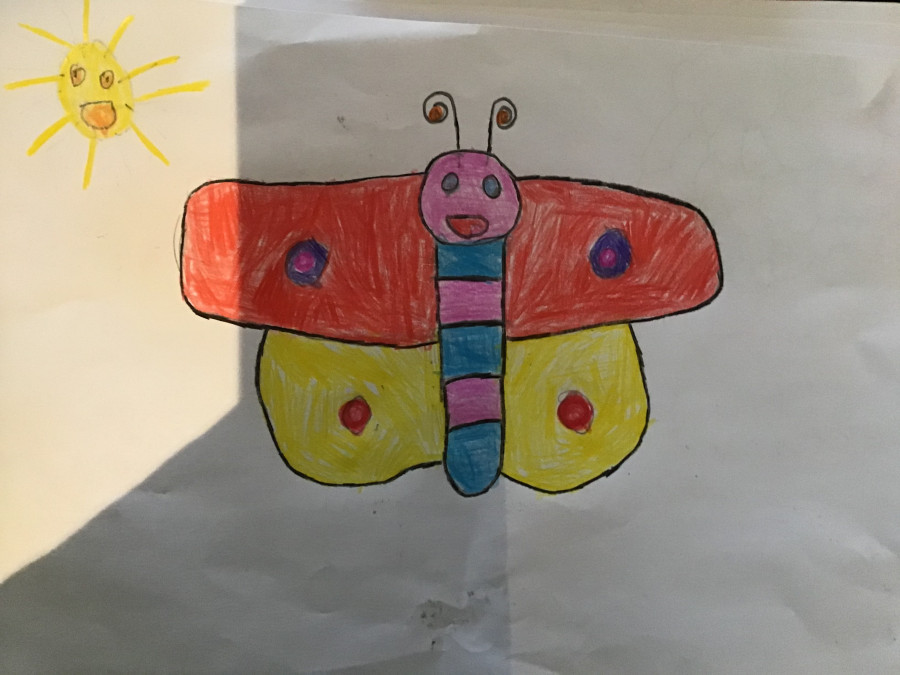 'Butterfly' by Shannon (6) from Mayo
