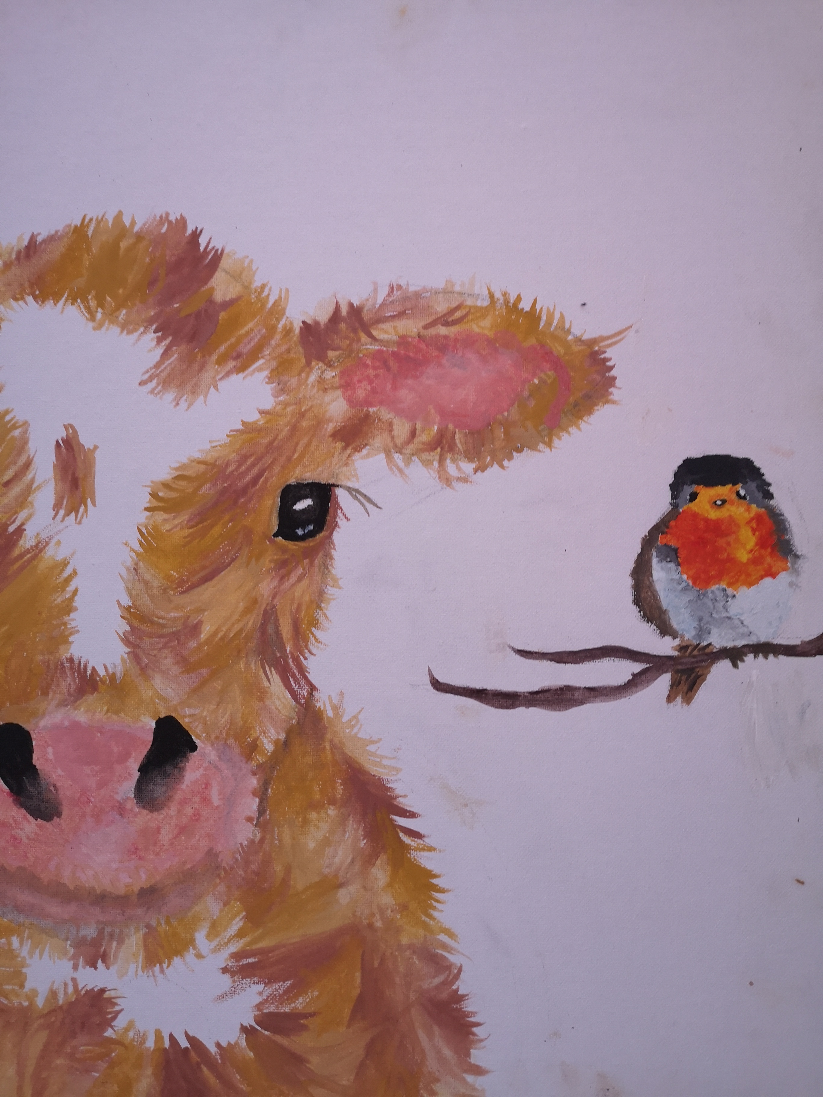 'Daisy & robin' by Shona (12) from Meath