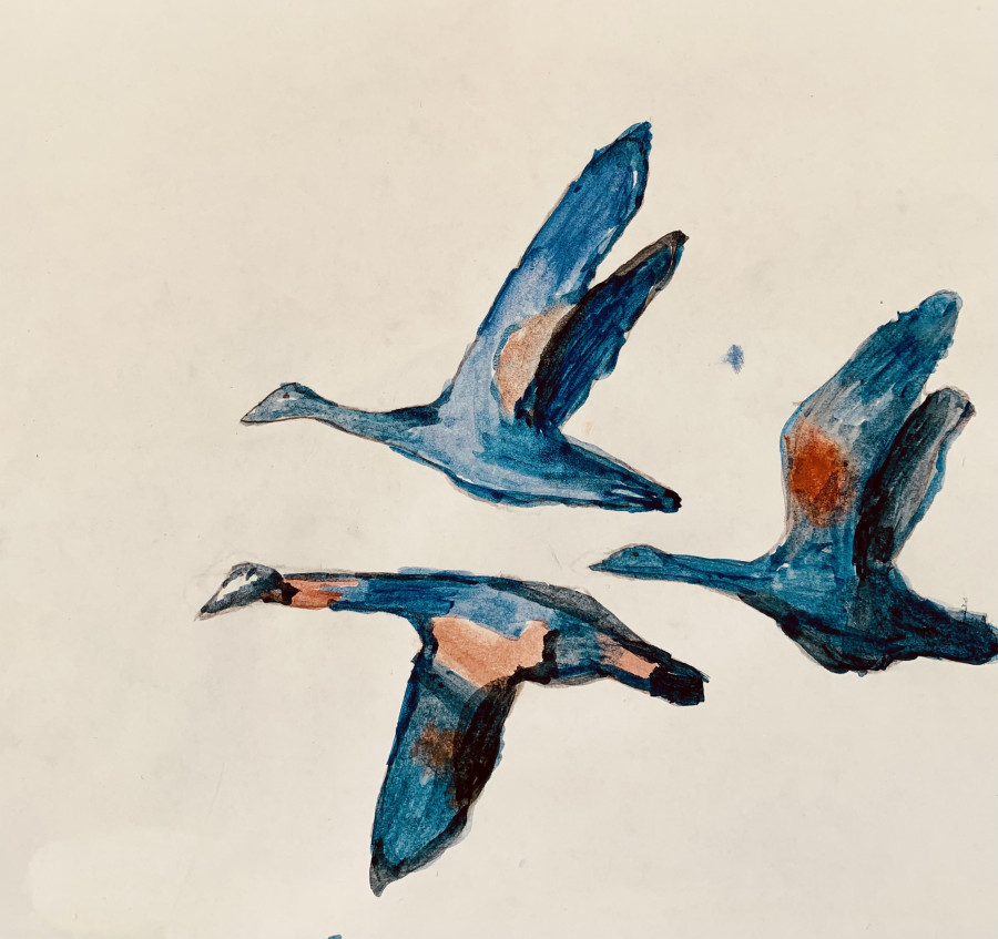 'Three Geese Flying' by Sienna (6) from Galway