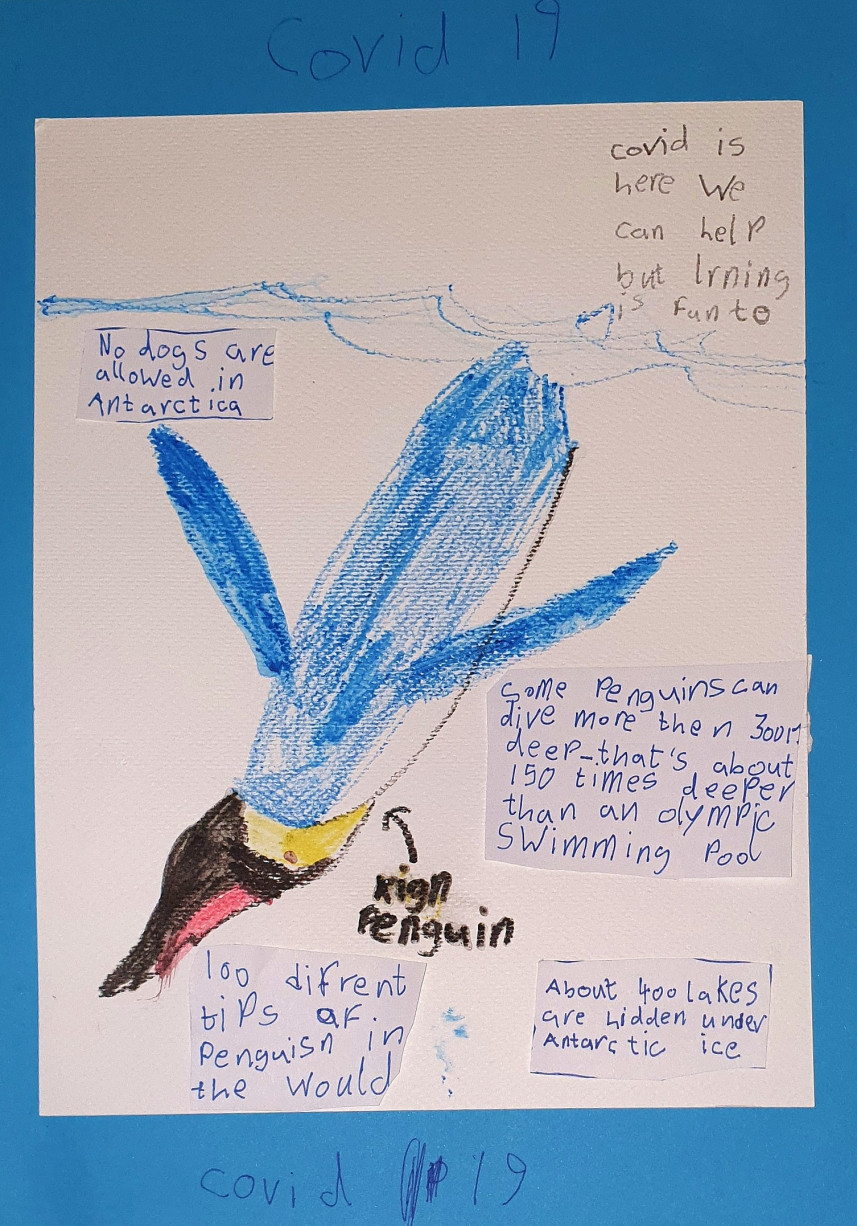 'Diving Penguin' by Sinead (7) from Mayo