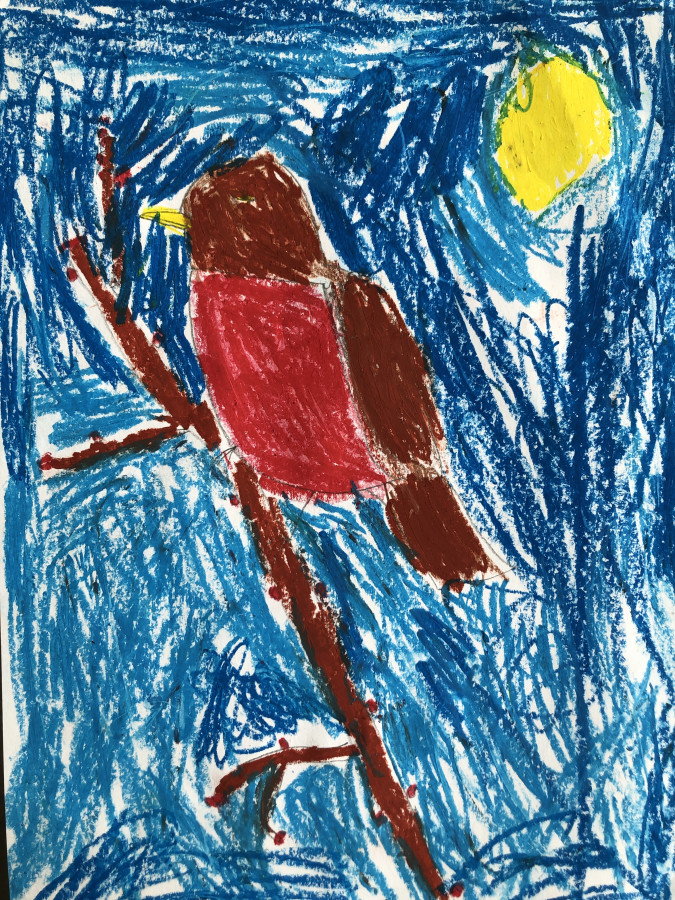 'My Robin' by Theo (6) from Dublin