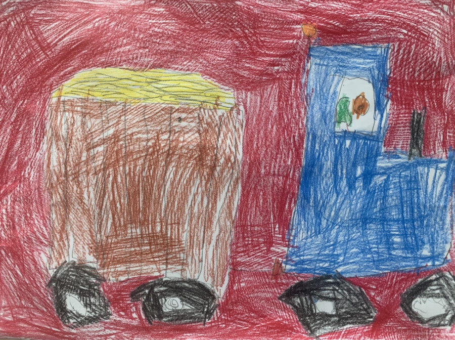 'Spring has sprung' by Tim (5) from Westmeath