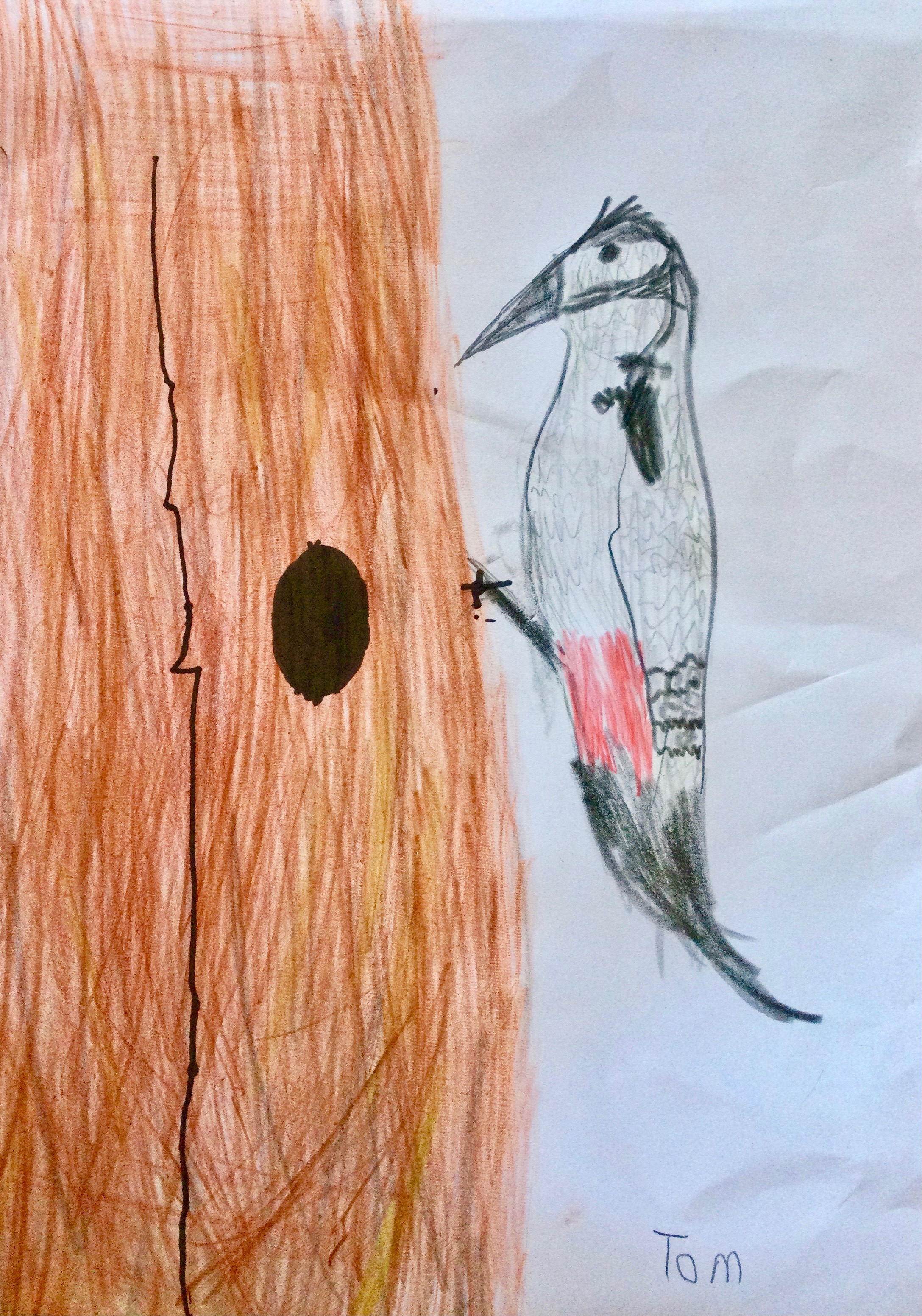 'Woodpecker' by Tom (7) from Offaly