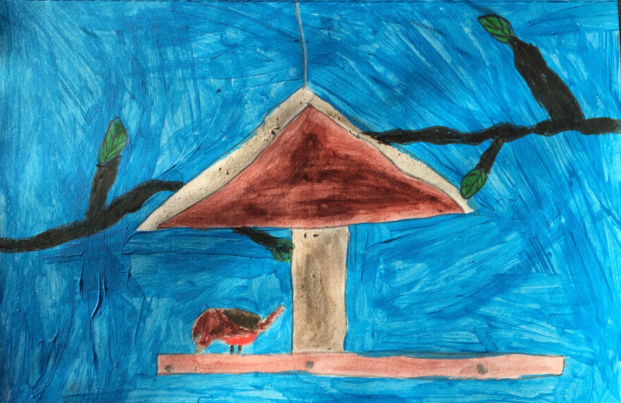 'A robin sitting on a bird table' by Zoe (7) from Cork