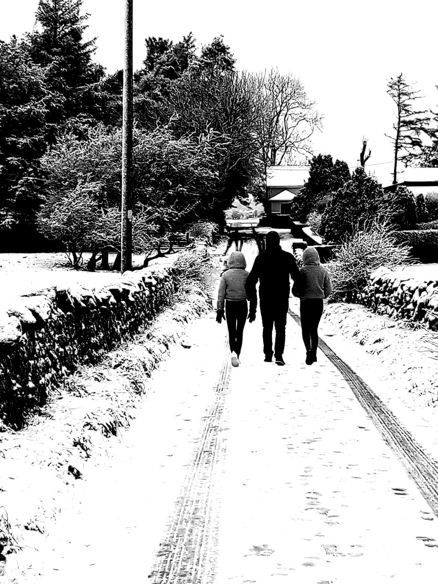 'Winter Wonderland' by Season () from Galway